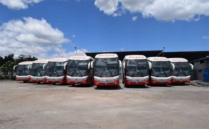 Mercedes-Benz do Brasil exportiert ber 300 Busse nach Ecuador