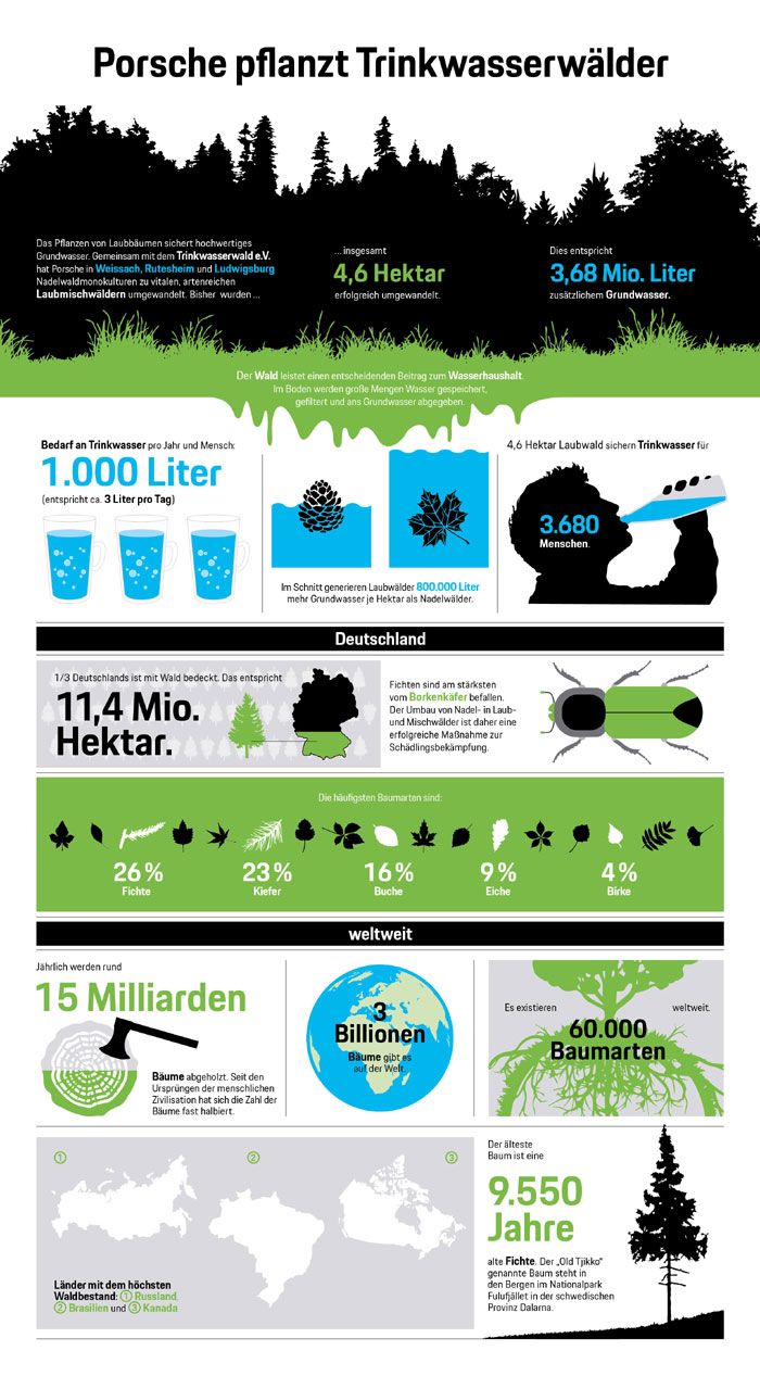 Porsche pflanzt Trinkwasserwlder