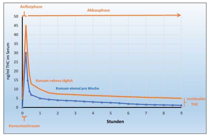 Quelle: Dr. Komann, Ingo (2023): Cannabis-Legalisierung und Konsequenzen fr die Verkehrssicherheit (Vortrag, 23.06.2023). Rostock-Warnemnde: Bundesanstalt fr Straenwesen (BASt).