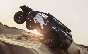 Peugeot 2008 DKR16