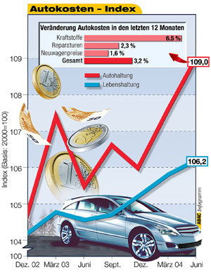 Autokosten Sommer 2004