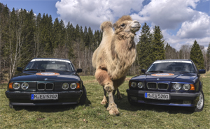 BMW 5er (E34) auf der Langstreckenrallye Allgu-Orient 2017