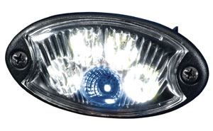 Hella Mini OvallED mit blauer LED. 