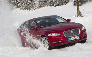 Jaguar Wintertraining