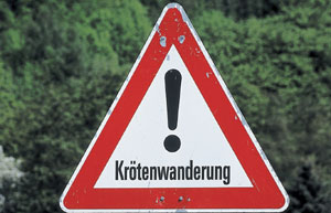 Krtenwarnschild