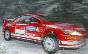 Peugeot 307 WRC Markko Mrtin