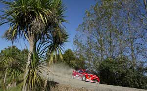 Rallye Neuseeland Peugeot 307 WRC