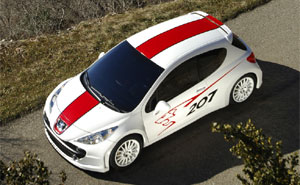 Peugeot 207 RCup