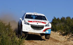 Peugeot 208 TYPE R5