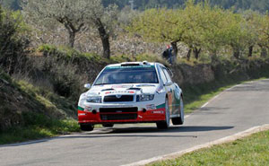 Skoda Fabia WRC