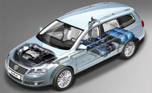 VW Passat Variant TSI EcoFuel