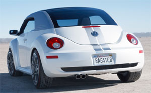 Studie New Beetle Ragster