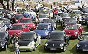 VW New Beetle Treffen