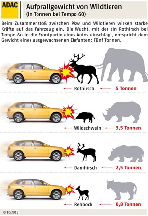 Aufprallgewicht von Wildtieren