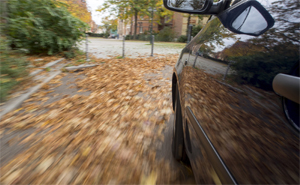 Schmierfilm auf der Stra�e